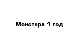 Монстера 1 год